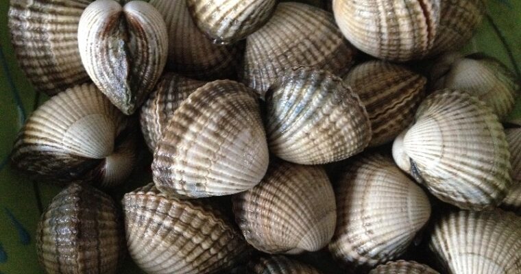 Kokkels met witte wijn, knoflook en verse kruiden