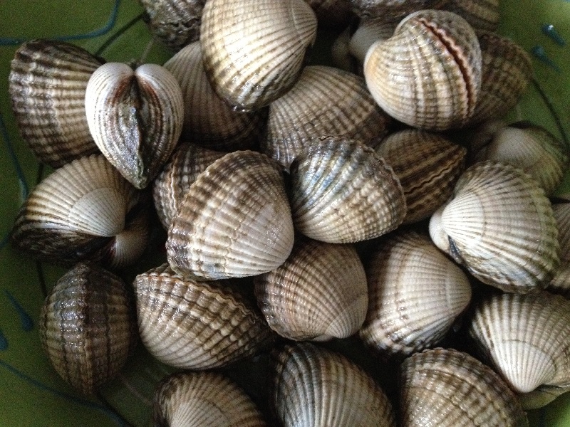 Kokkels met witte wijn, knoflook en verse kruiden